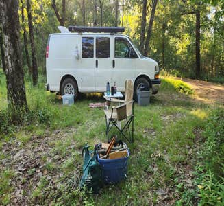Camper-submitted photo from Forest Service RD 153 Ouachita National Forest