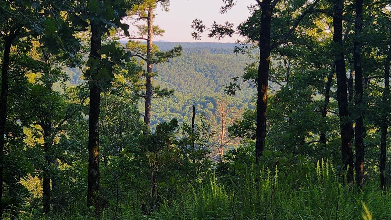 Camper-submitted photo at Forest Service RD 153 Ouachita National Forest near Royal, AR
