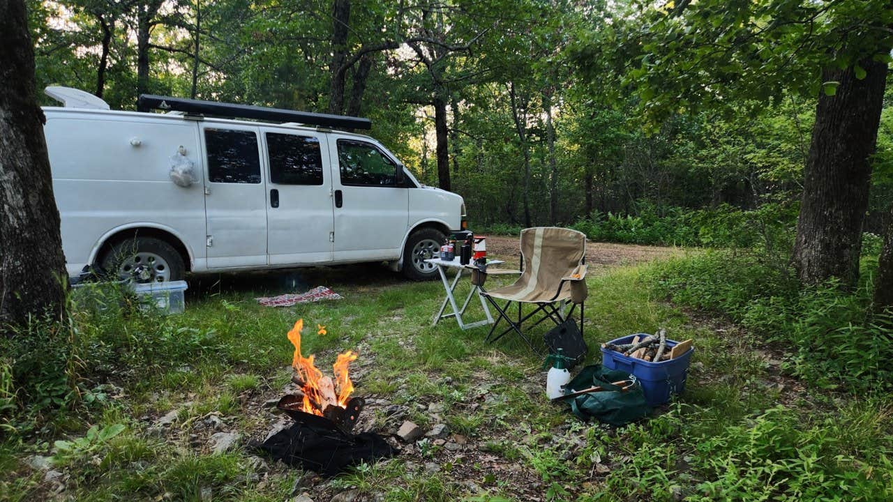 Camper submitted image from Forest Service RD 153 Ouachita National Forest - 1