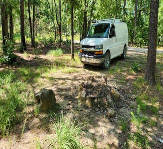 Camper-submitted photo from Forest Service RD 29145 Ouachita National Forest