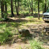 Review photo of Forest Service RD 29145 Ouachita National Forest by Fred S., June 17, 2024