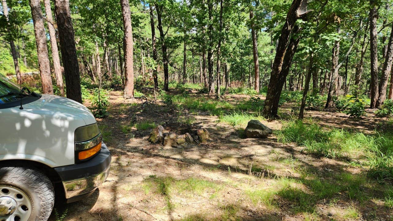 Camper-submitted photo at Forest Service RD 29145 Ouachita National Forest near Royal, AR