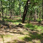 Review photo of Forest Service RD 29145 Ouachita National Forest by Fred S., June 17, 2024