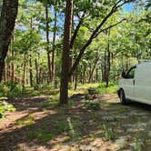 Review photo of Forest Service RD 29145 Ouachita National Forest by Fred S., June 17, 2024