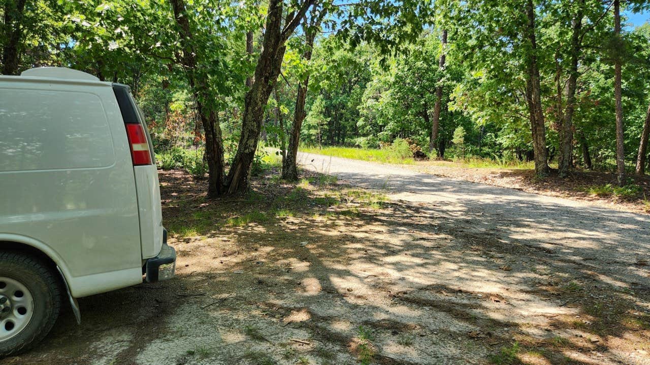 Camper submitted image from Forest Service RD 29145 Ouachita National Forest - 1