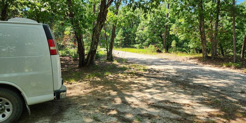 Camper submitted image from Forest Service RD 29145 Ouachita National Forest