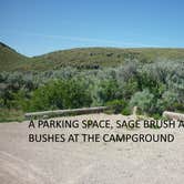 Review photo of Twin Springs Campground by Curtis W., June 17, 2024