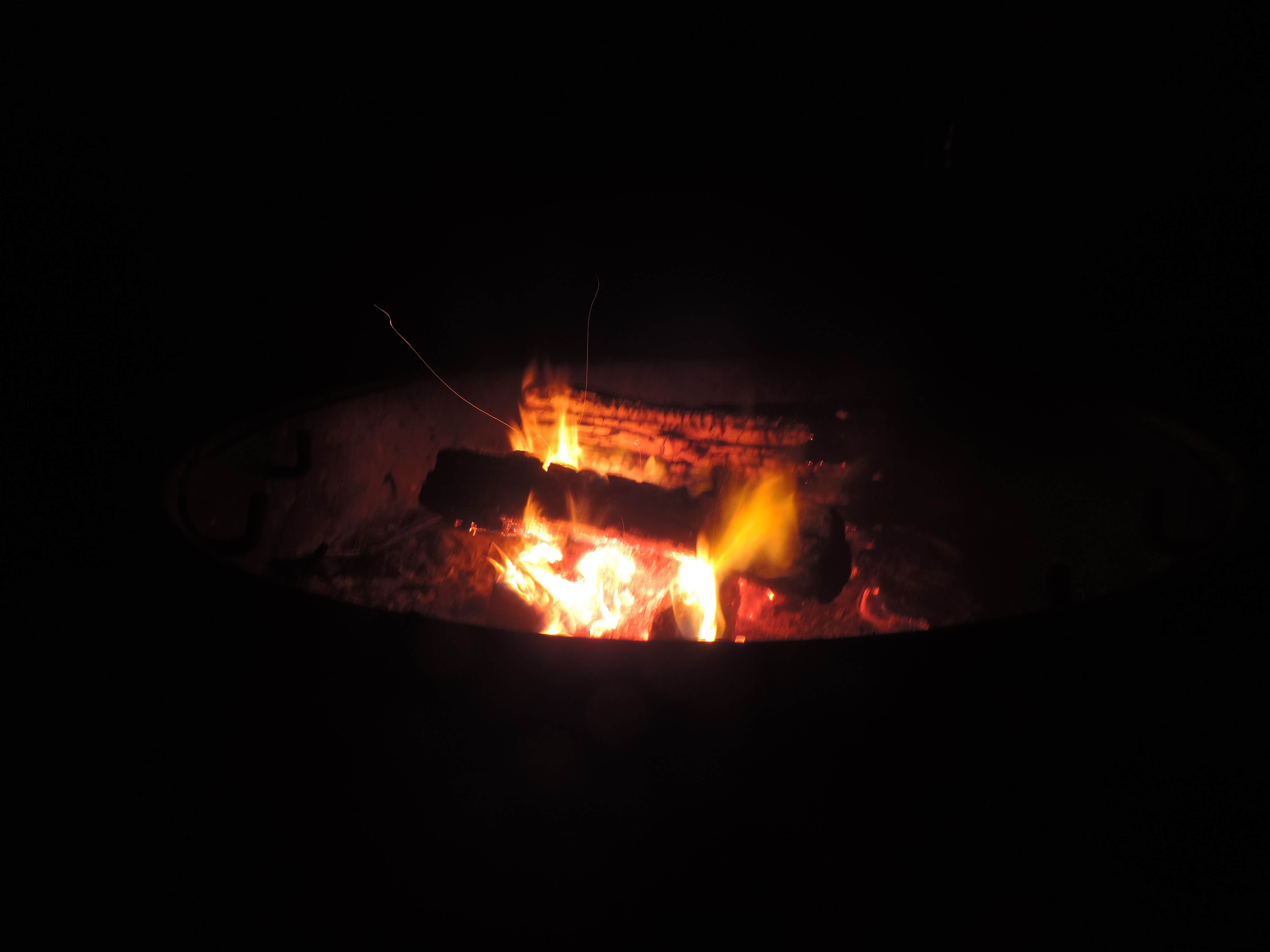 Camper submitted image from Gold Bluffs Beach Campground — Prairie Creek Redwoods State Park - 3