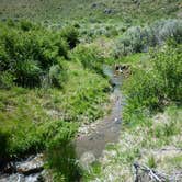 Review photo of Twin Springs Campground by Curtis W., June 17, 2024