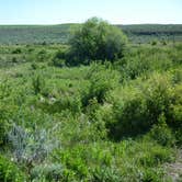 Review photo of Twin Springs Campground by Curtis W., June 17, 2024