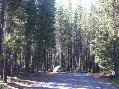 Camper submitted image from Bumping Lake Campground - 4