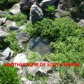 Review photo of Twin Springs Campground by Curtis W., June 17, 2024