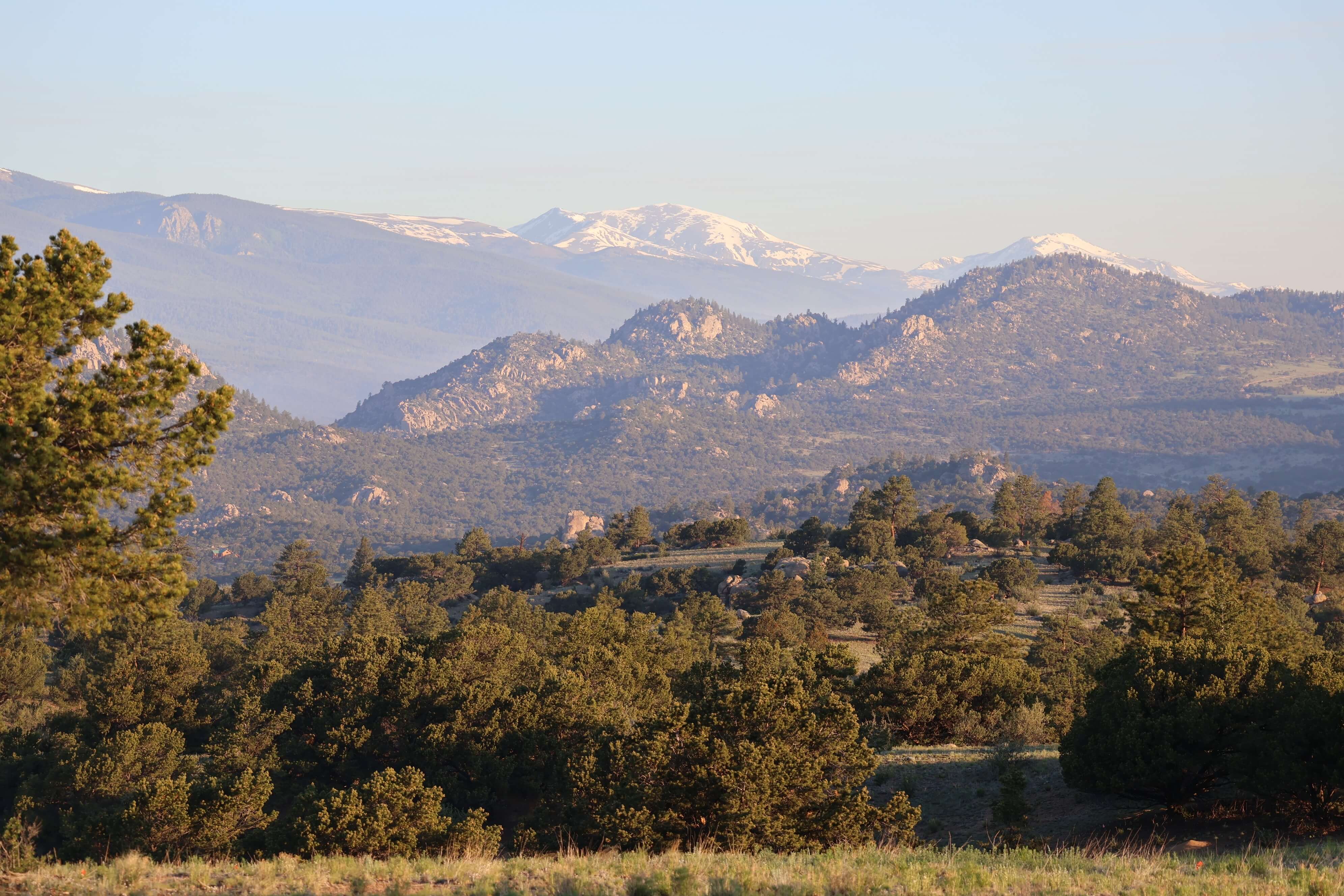 Camper-submitted photo at Buena Vista Overlook near Hartsel, CO