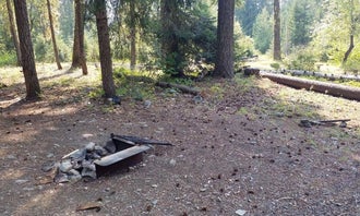 Camping near Red Mountain Campground: Cayuse Horse Camp, Roslyn, Washington
