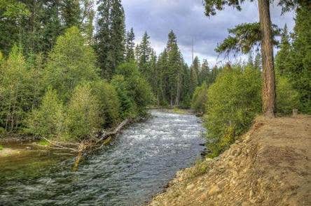 Camper submitted image from Cedar Springs Campground (WA) - 1