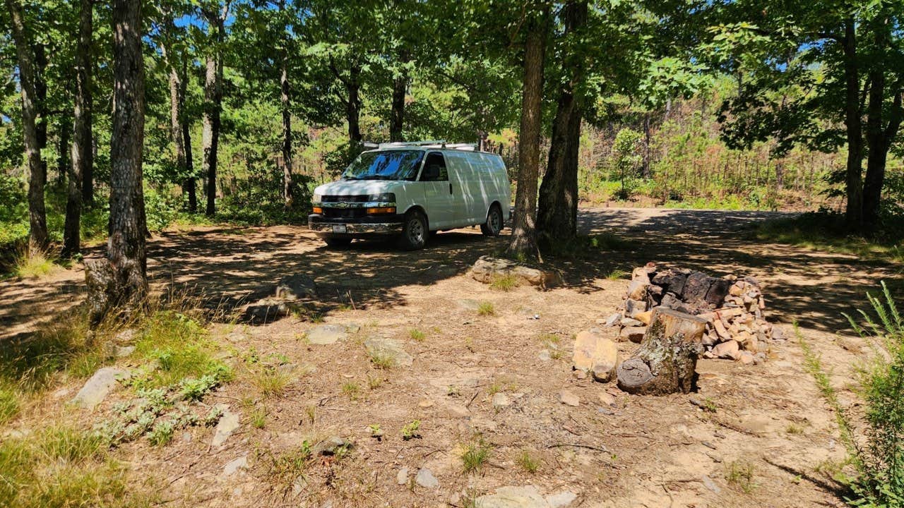 Camper-submitted photo at Forest Service RD 132 Ouachita National Forest near Nimrod Lake