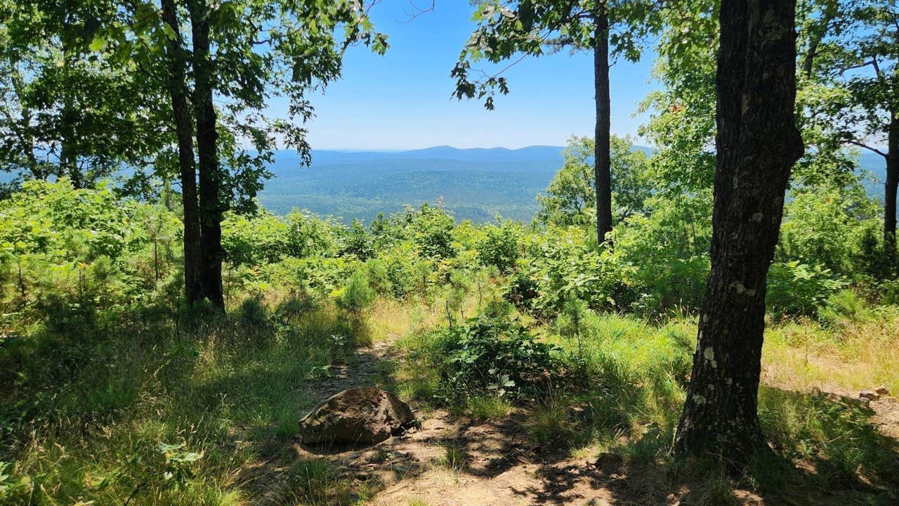 Fred S.'s photo of a dispersed camping area at Forest Service RD 132 Ouachita National Forest near Bryant, AR