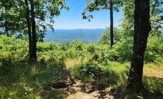 Fred S.'s photo of a dispersed camping area at Forest Service RD 132 Ouachita National Forest near Russellville, AR