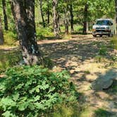 Review photo of Forest Service RD 132 Ouachita National Forest by Fred S., June 18, 2024