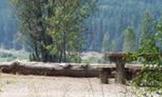 Camping near Cayuse Horse Camp: Cle Elum River Campground, Roslyn, Washington