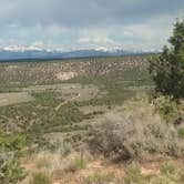 Review photo of Dry Creek Ditch Camp off Forest Road 90 by Richard S., June 18, 2024