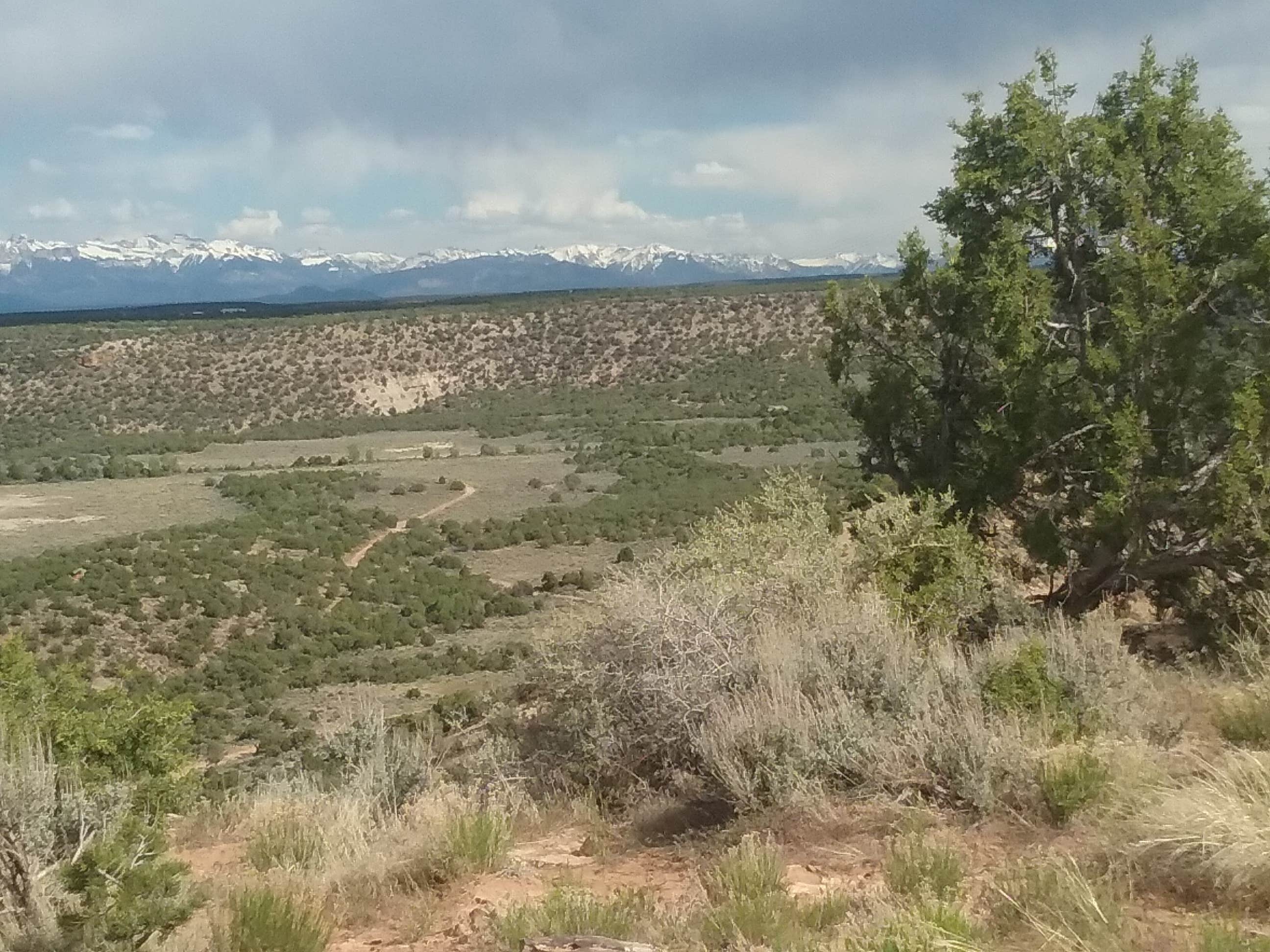 Camper submitted image from Dry Creek Ditch Camp off Forest Road 90 - 1