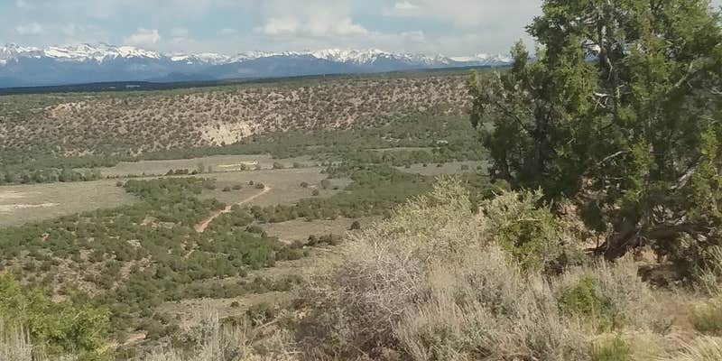 Camper submitted image from Dry Creek Ditch Camp off Forest Road 90