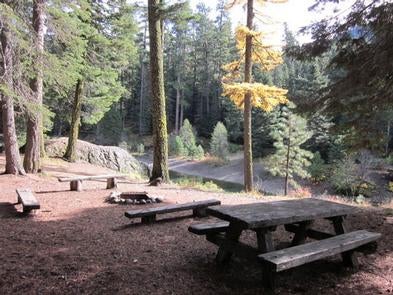 Picnic tables with forested backdrop.



Clear lake group site

Credit: USFS