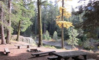 Camping near Rimrock Lake Resort: Clear Lake Group Site, White Pass, Washington