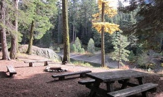 Camping near Indian Creek (WA): Clear Lake Group Site, White Pass, Washington