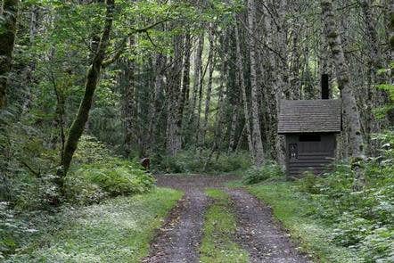 Camper submitted image from Coal Creek Group Camp - 4