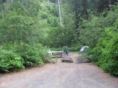 Camper submitted image from Cottonwood Campground (WA) - 1