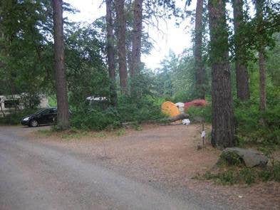 Camper submitted image from Cottonwood Campground (WA) - 4