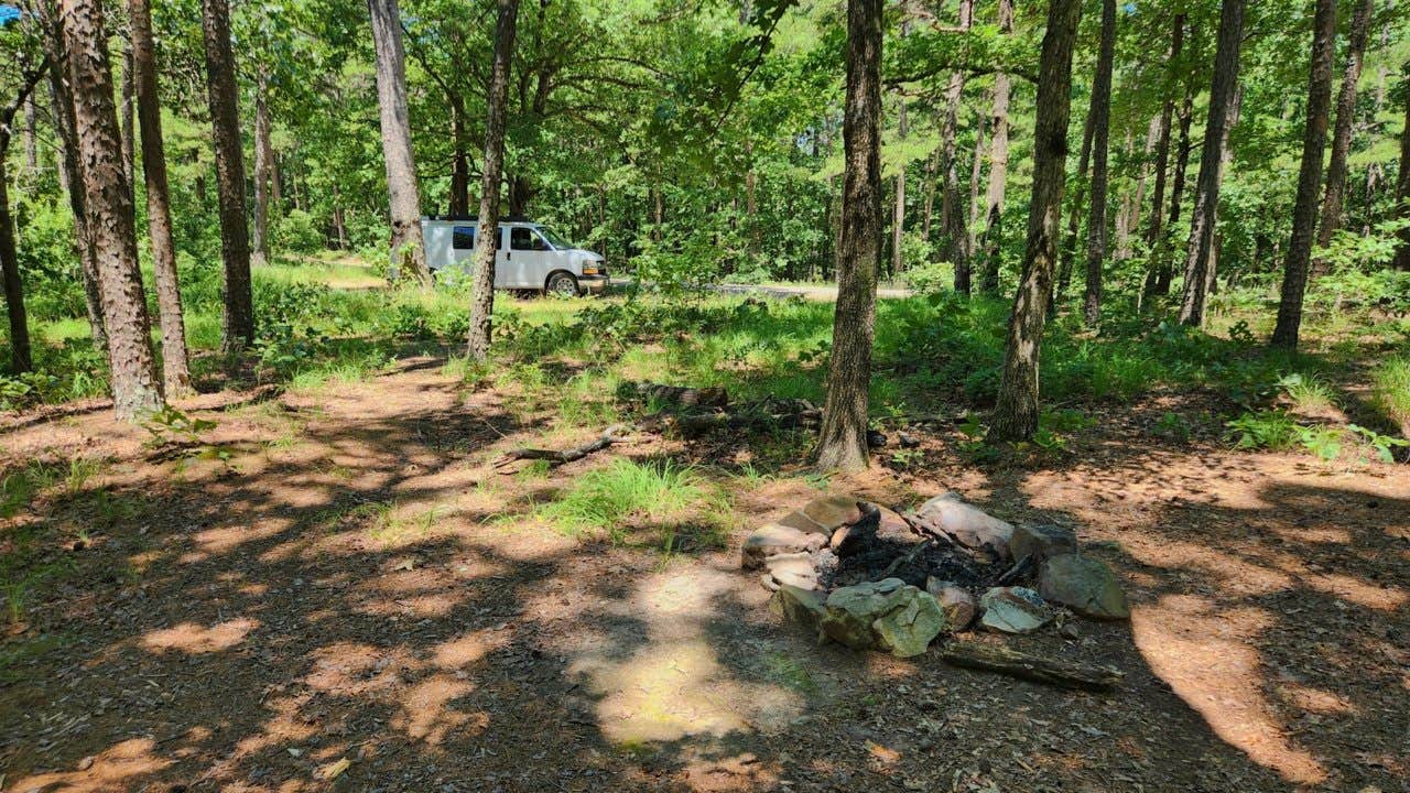 Camper submitted image from Dispersed FR132 Ouachita National Forest, AR - 4