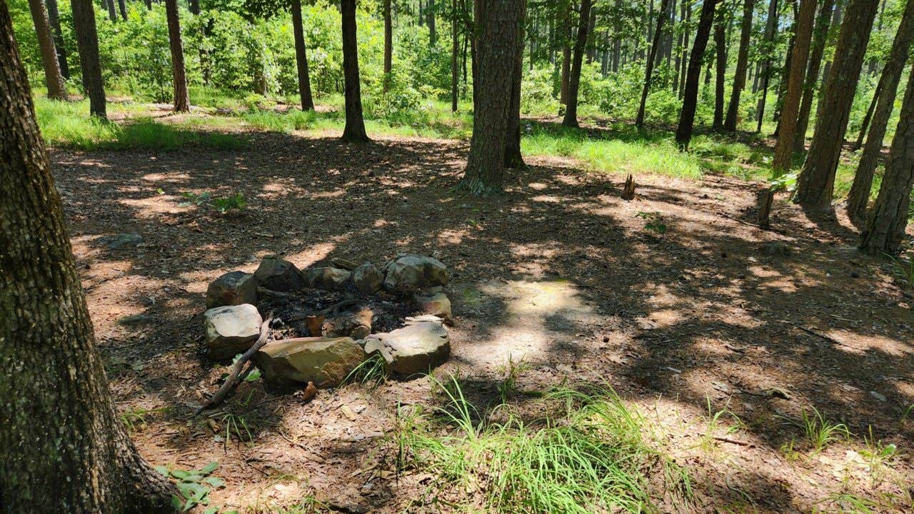 Camper-submitted photo at Dispersed FR132 Ouachita National Forest, AR near Royal, AR
