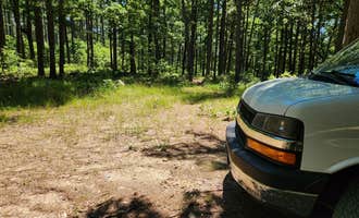 Camping near Ouachitas FR179 Dispersed Site: Dispersed FR132 Ouachita National Forest, AR, Jessieville, Arkansas
