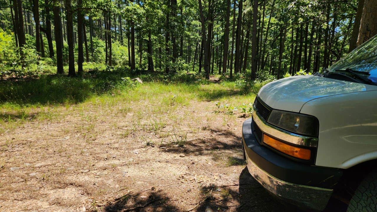 Camper submitted image from Dispersed FR132 Ouachita National Forest, AR - 1