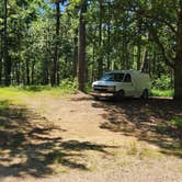 Review photo of Dispersed FR132 Ouachita National Forest, AR by Fred S., June 19, 2024