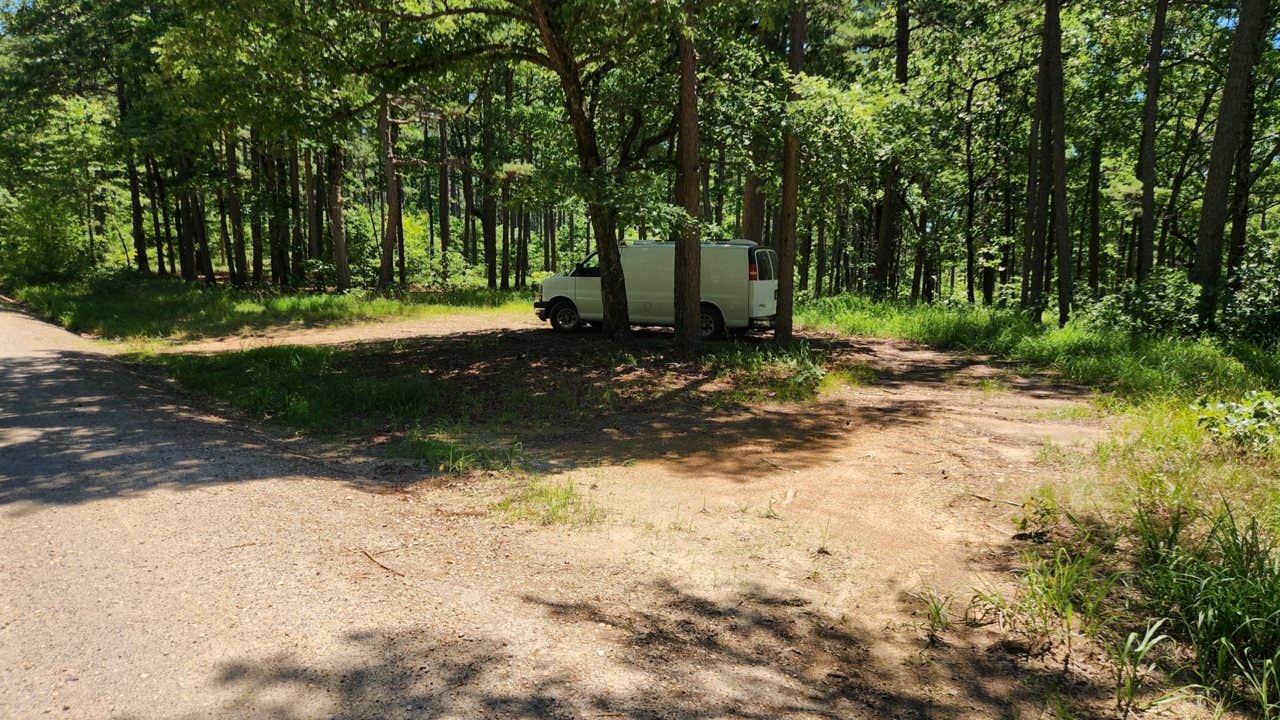 Camper submitted image from Dispersed FR132 Ouachita National Forest, AR - 5