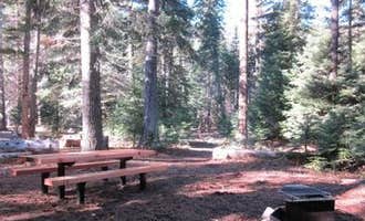 Camping near Pine Needle Group Site: Cougar Flat, Goose Prairie, Washington
