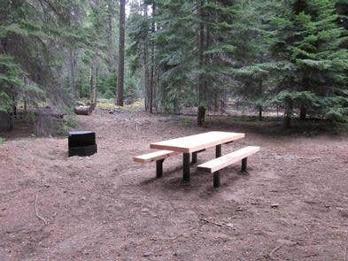 Camper submitted image from Cougar Flat - 3