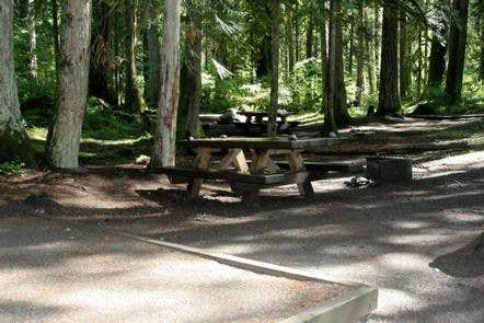 Camper submitted image from Douglas Fir Campground - 3