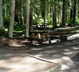 Camper-submitted photo from Douglas Fir Campground