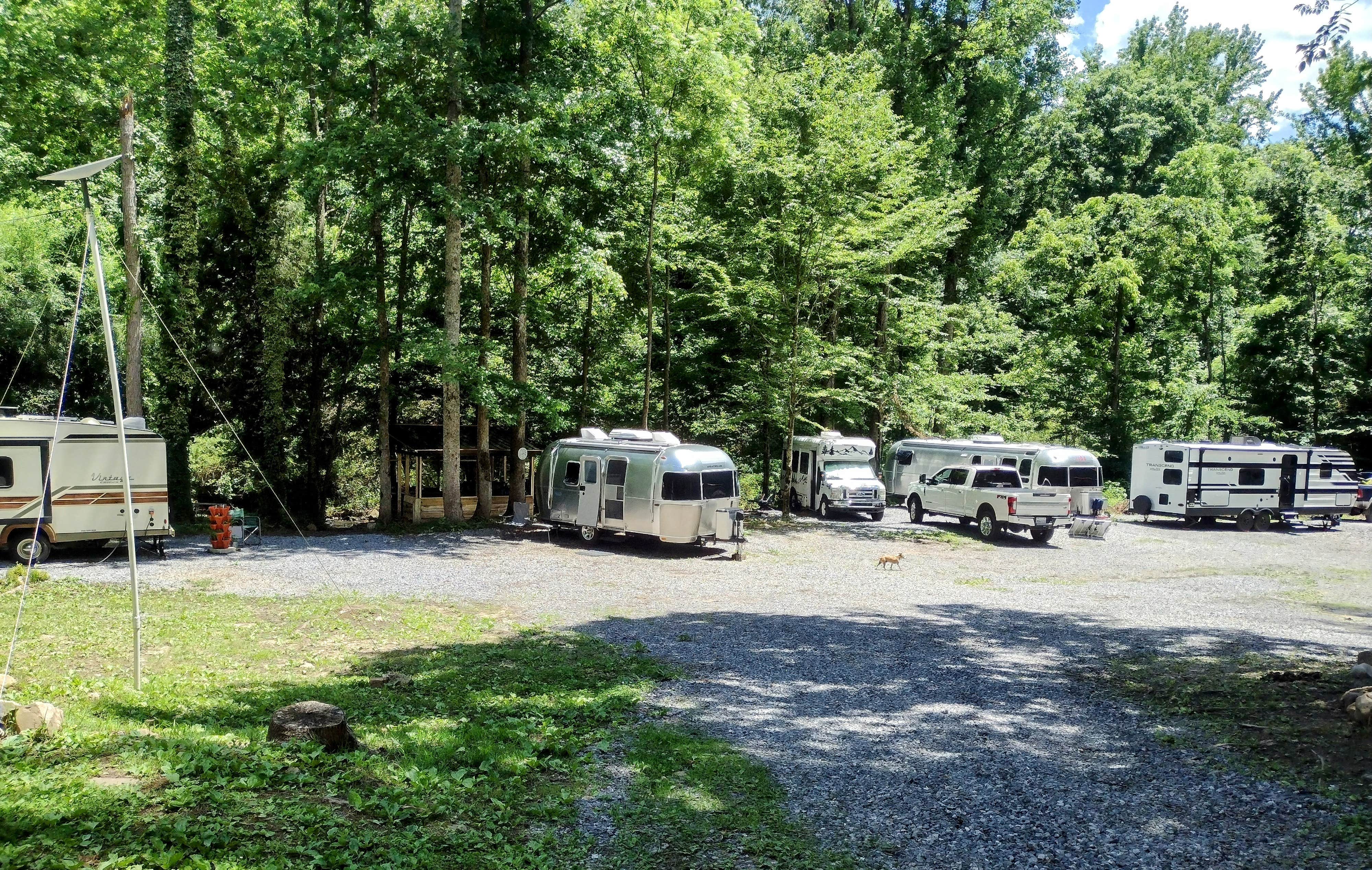Rob & Kim   .'s photo of camping with pets at Long Creek Haven near Cherokee National Forest