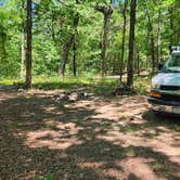 Review photo of FR132-Grindstone Rd Dispersed, Ouachita NF, AR by Fred S., June 19, 2024