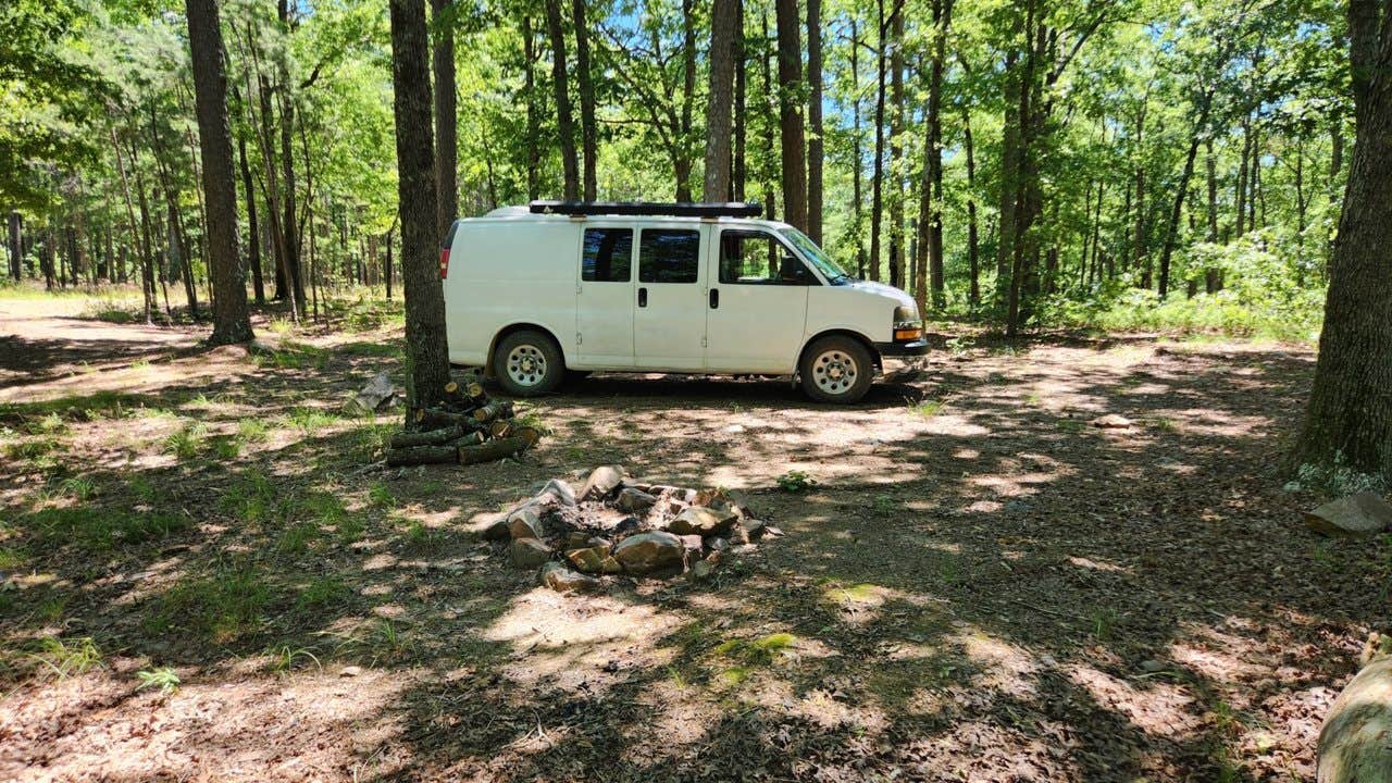 Camper submitted image from FR132-Grindstone Rd Dispersed, Ouachita NF, AR - 2