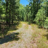 Review photo of FR132-Grindstone Rd Dispersed, Ouachita NF, AR by Fred S., June 19, 2024