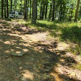 Review photo of FR132-Grindstone Rd Dispersed, Ouachita NF, AR by Fred S., June 19, 2024