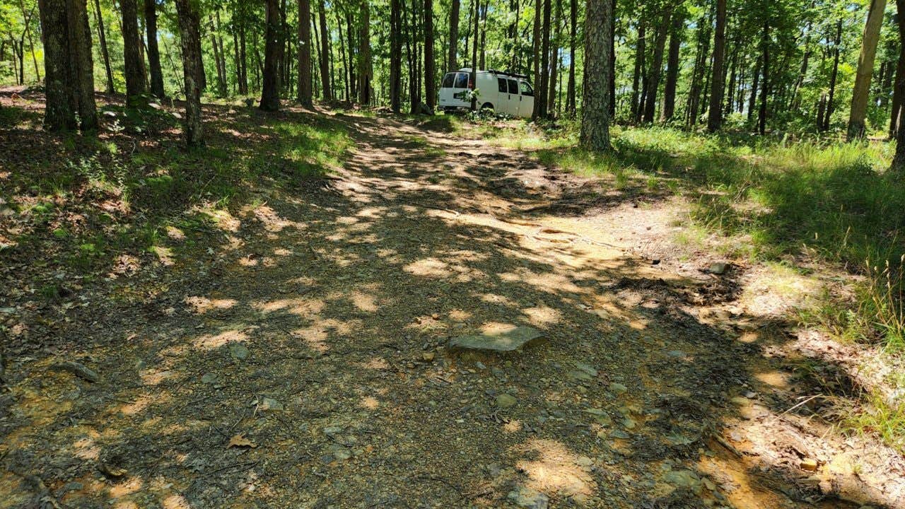 Camper submitted image from FR132-Grindstone Rd Dispersed, Ouachita NF, AR - 4