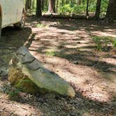 Review photo of FR132-Grindstone Rd Dispersed, Ouachita NF, AR by Fred S., June 19, 2024